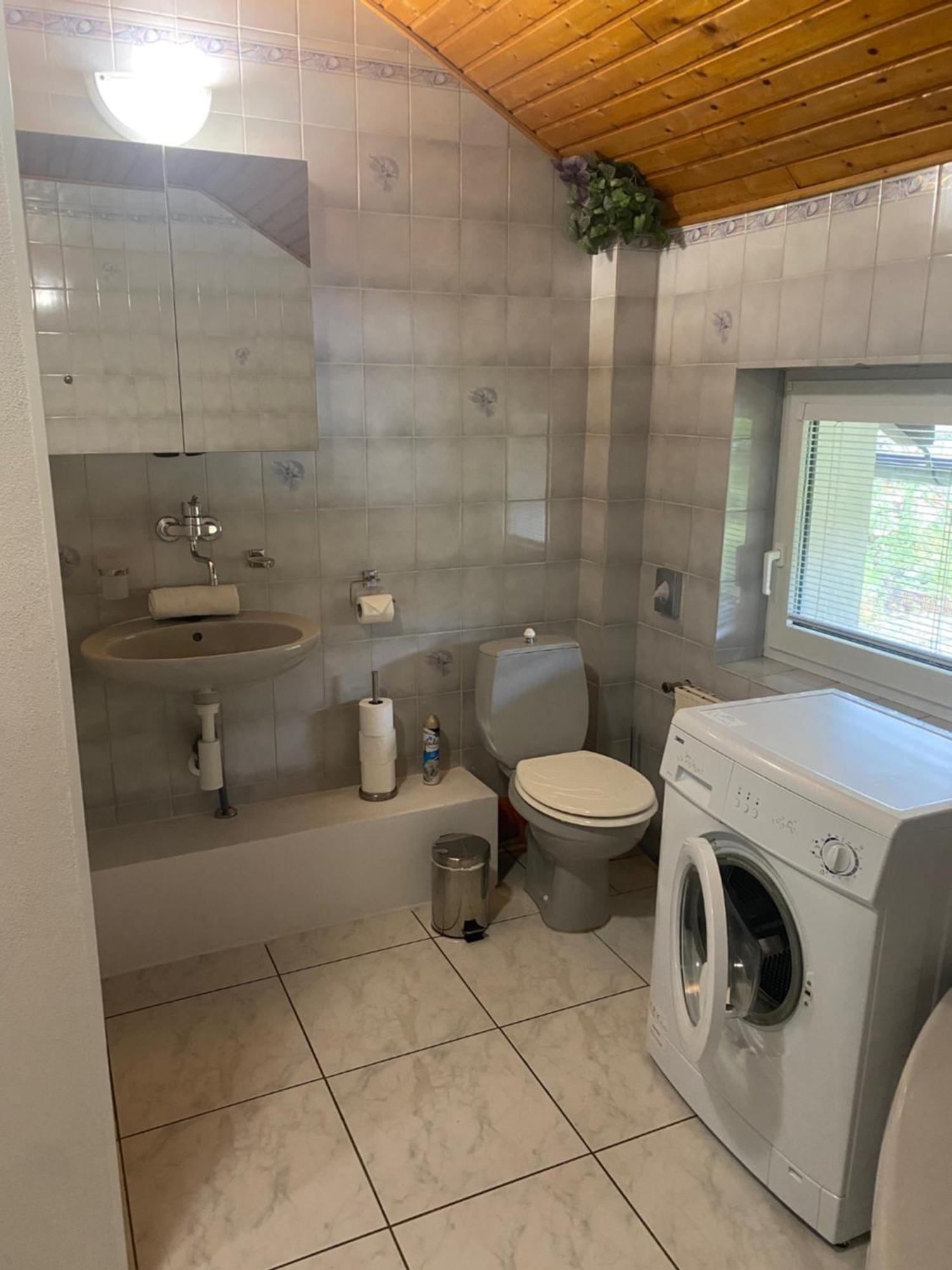 Apartmany Nad Rybnikem Železná Ruda المظهر الخارجي الصورة