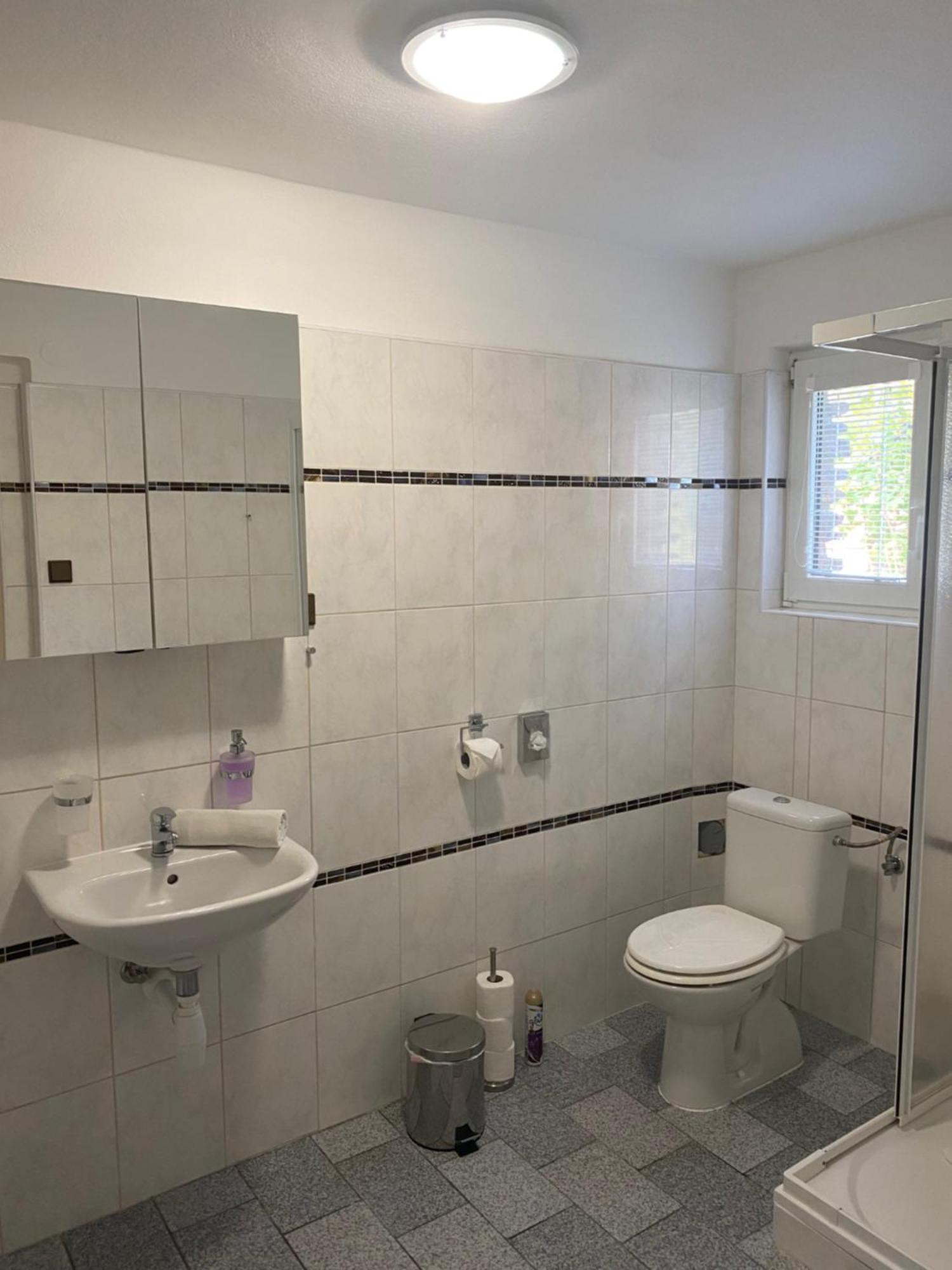 Apartmany Nad Rybnikem Železná Ruda المظهر الخارجي الصورة
