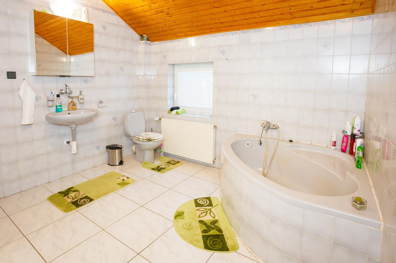 Apartmany Nad Rybnikem Železná Ruda المظهر الخارجي الصورة
